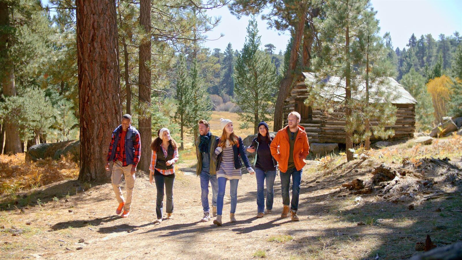 Grupo de amigos caminando por un bosque junto a una cabaña de madera