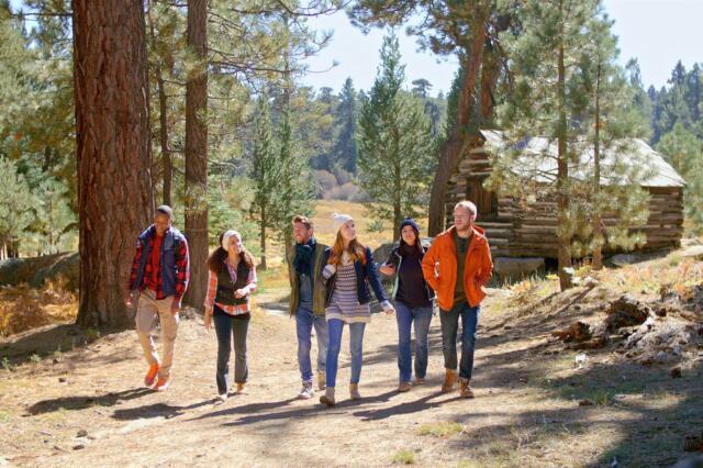 Grupo de amigos caminando por un bosque junto a una cabaña de madera